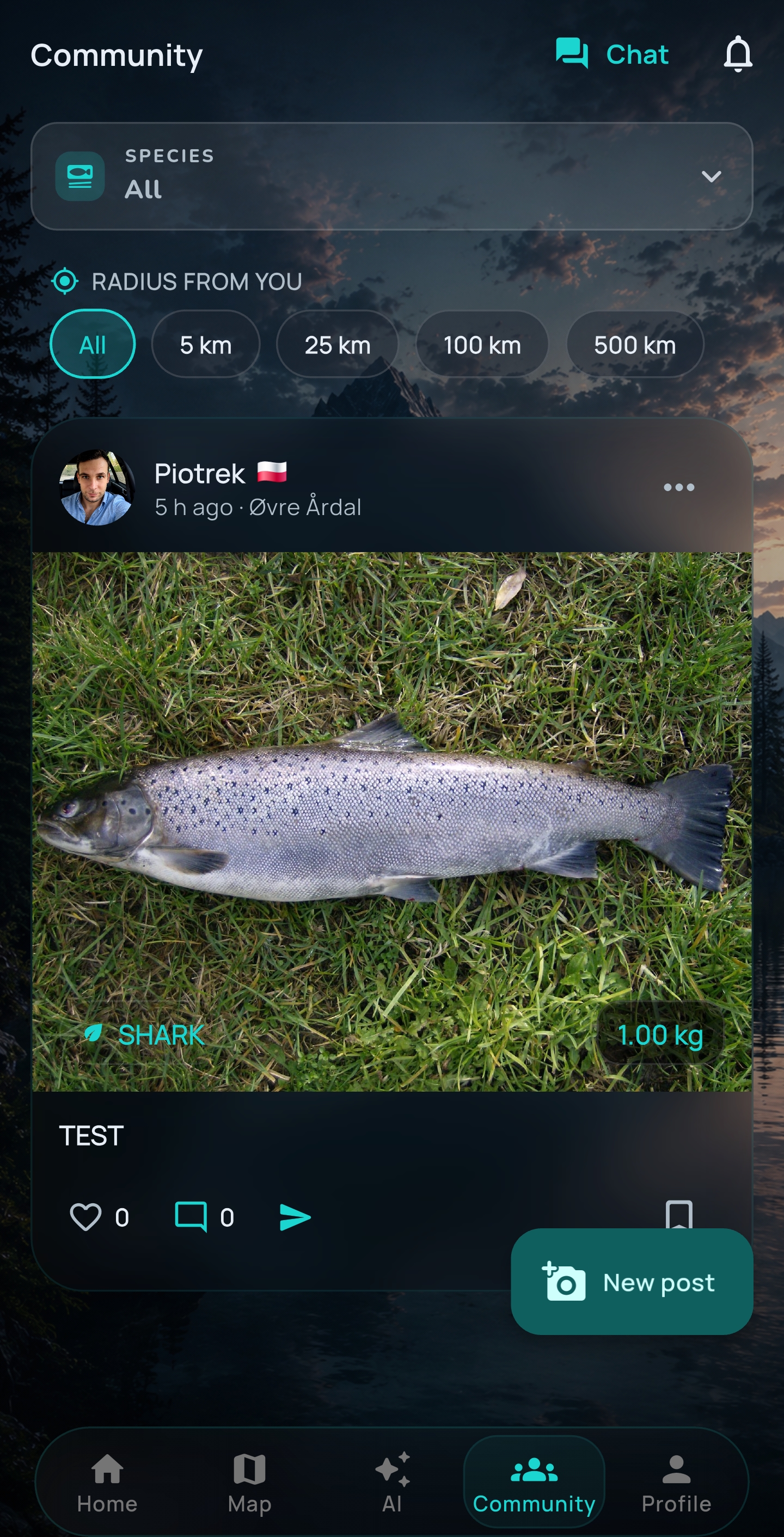Community catch post